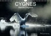 Cygnes. Blanche Elegance 2017: Les Plus Belles Photos De Cygnes Prises Dans Des Regions Sauvages De France Et De Finlande.