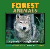 Forest Animals