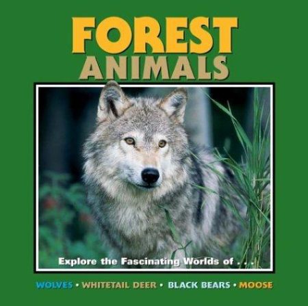 Forest Animals