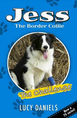 Jess The Border Collie: The Challenge