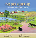 The Big Surprise