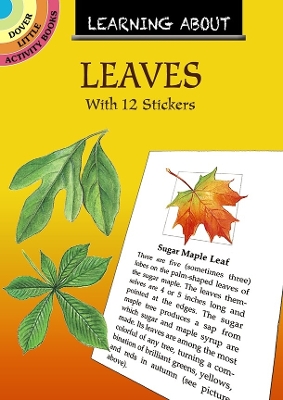 Learning About Leaves: With 12 Stickers