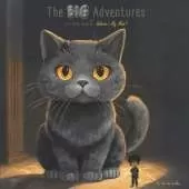 The Big Adventures Of Little Ryan: Where's My Mom?
