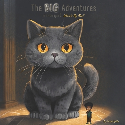 The Big Adventures Of Little Ryan: Where's My Mom?