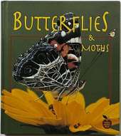 Butterflies and Moths