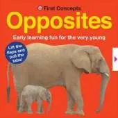 Opposites: First Concepts Novelty
