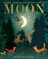 Moon: night-time around the world