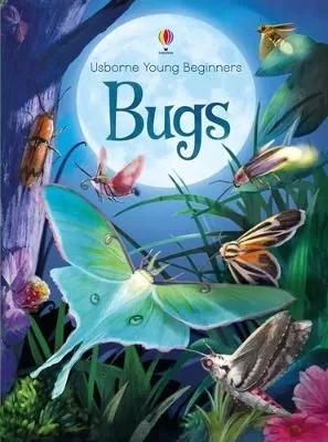 Young Beginners Bugs