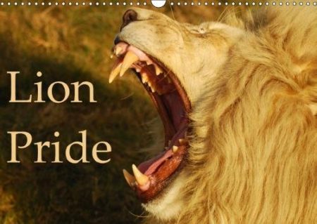 Lion Pride 2018: Captured Moments of Wild Lions in South Africa.