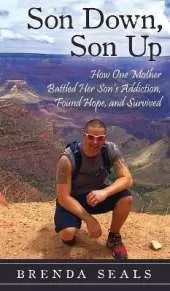 Son Down, Son Up: How One Mother Battled Her Son's Addiction, Found Hope, and Survived