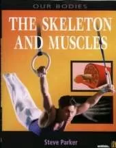 Muscles and Skeleton