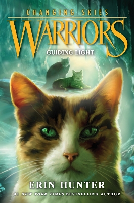 Warriors: Changing Skies #4: Guiding Light