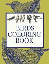 Birds Coloring Book: A wonderful coloring book to discover beauty of birds