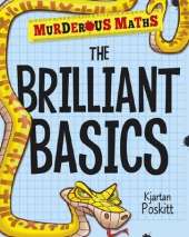 The Brain-Bending Basics