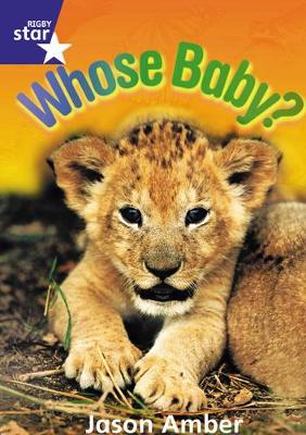 Star Shared: Reception, Whose Baby? Big Book