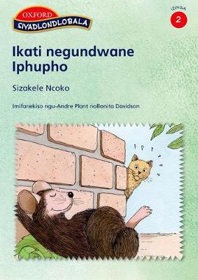 Ikati Negundwane, Iphupho