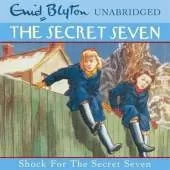 Shock for the Secret Seven