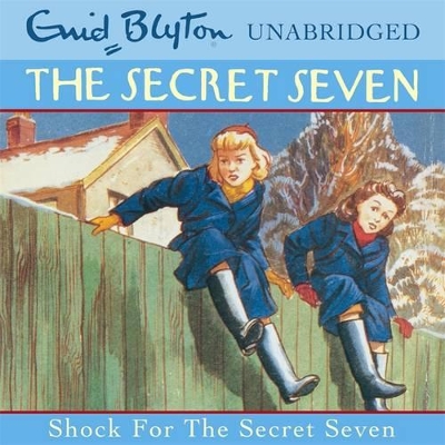 Shock for the Secret Seven