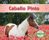 Caballo Pinto (American Paint Horses)