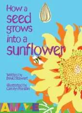 How A Seed Grows Into A Sunflower
