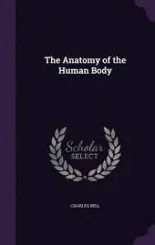 The Anatomy of the Human Body