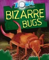 Zoom in On: Incredible Insects