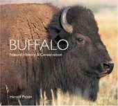 Buffalo