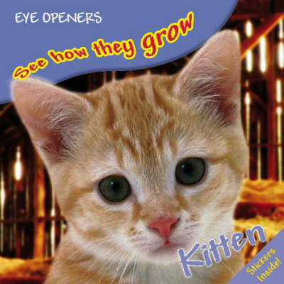 Kitten