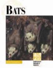 Bats