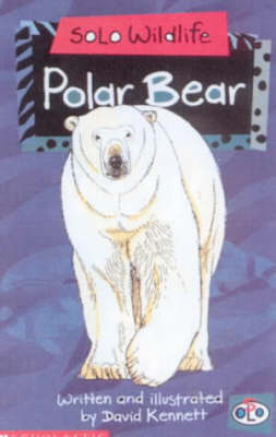Solo Wildlife: Polar Bear