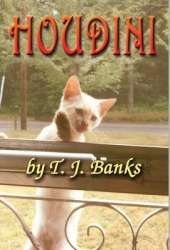 Houdini