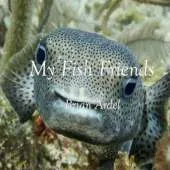My Fish Friends