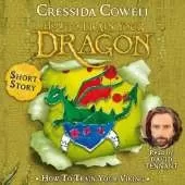 How To Train Your Viking by Toothless the Dragon: World Book Day 2006