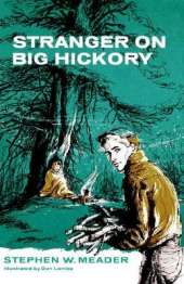 Stranger on Big Hickory