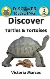 Discover Turtles & Tortoises