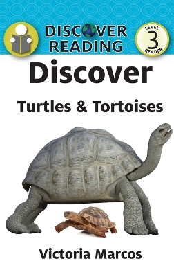 Discover Turtles & Tortoises