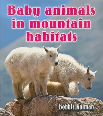 Baby Animals in Mountain Habitats