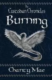 The Custodian Chronicles Burning