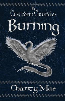 The Custodian Chronicles Burning