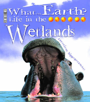 Life In the Wetlands