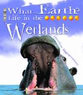 Wetlands