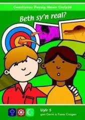 Beth Sy'n Real?