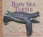 Baby Sea Turtle