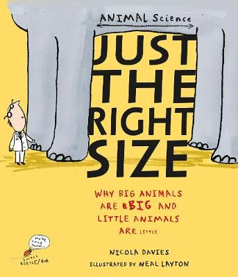 Just the Right Size: Why Big Animals Are Big and Little Animals Are Little