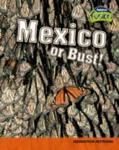 Mexico or Bust!: Migration Patterns