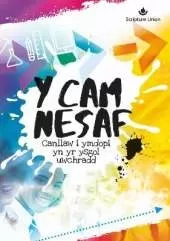 Y Cam Nesaf: Canllaw i ymdopi yn yr ysgol uwchradd