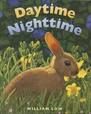 Daytime Nighttime