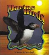 Marine Birds