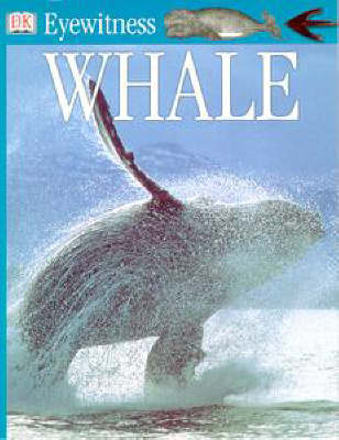 Whale