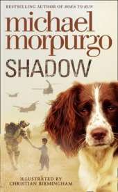 Shadow